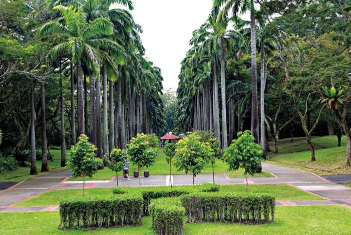 Ang Mo Kio Town Real Estate Singapore